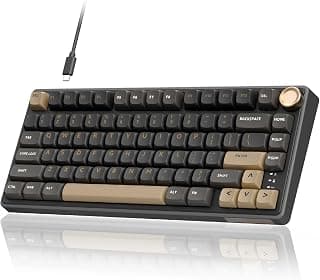 RK ROYAL KLUDGE R75 Wired Mechanical Keyboard with Volume Knob, 75% Mechanical Gaming Keyboard Gasket Mount, Hot Swappable Silver Switch, MDA Profile PBT Keycaps, Creamy Keyboards, Black