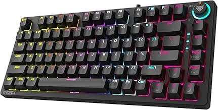 EvoFox Katana X2 TKL Mechanical Gaming Keyboard | 3‑Pin Replaceable Clicky Blue Switches, Dynamic Backlighting, All Keys Anti‑Ghosting, Volume Knob, Copilot, Xbox Gamebar, Screenshot & More (Black)